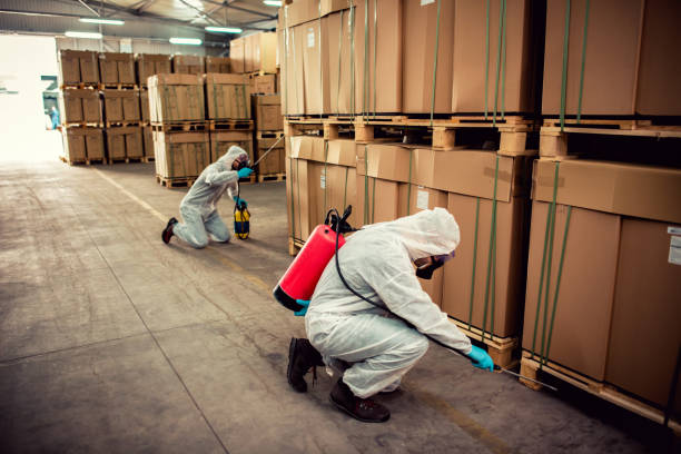 Best Ant Control Services  in Springfield, MN