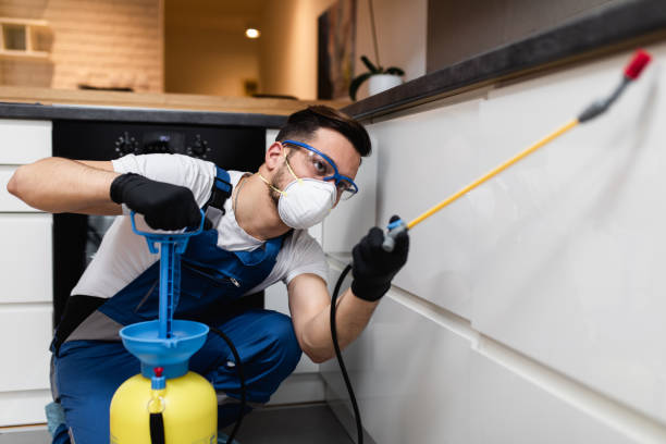 Best Best Pest Control Companies  in Springfield, MN