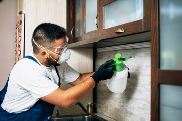 Best Residential Pest Control  in Springfield, MN