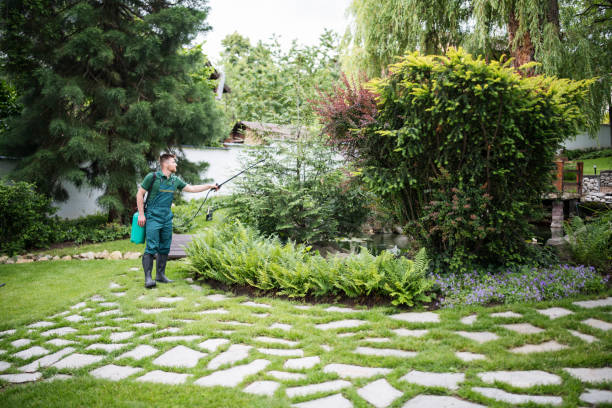 Best Pest Control Cost  in Springfield, MN