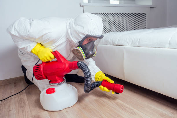 Flea Control Services in Springfield, MN