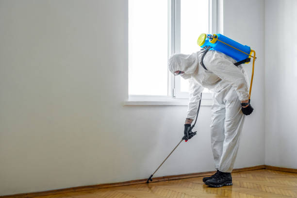 Flea Control Services in Springfield, MN