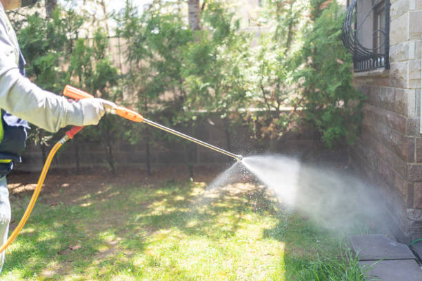 Best Flea Control Services  in Springfield, MN