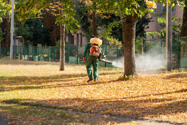 Best Emergency Pest Control  in Springfield, MN
